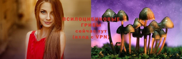 ECSTASY Абинск