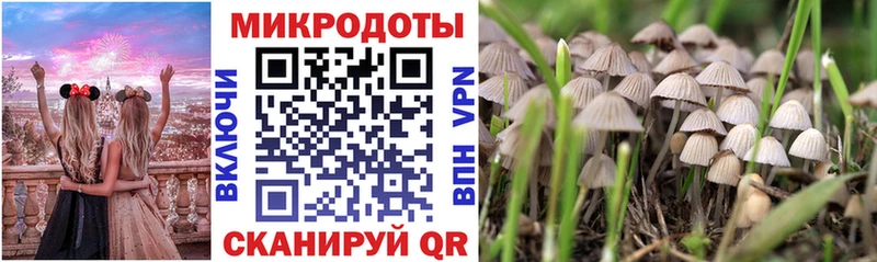 купить наркоту  Вилюйск  Псилоцибиновые грибы ЛСД 